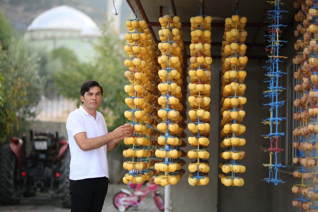 Cennet elması yüz güldürüyor