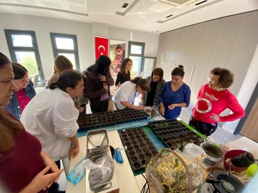 Efes Selçuk’ta Tıbbi ve Aromatik Bitki Yetiştiriciliği Eğitimi