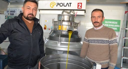 Zeytinyağı fabrikaları sezonu açtı