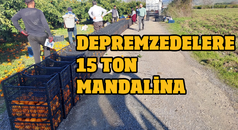 Depremzedelere 15 ton mandalina