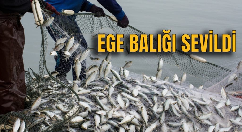 Balıkçıların ihracatı 1 milyarı aştı