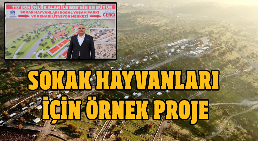 Sokak hayvanları için örnek proje