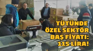 Tütünde özel sektör baş fiyatı: 115 Lira