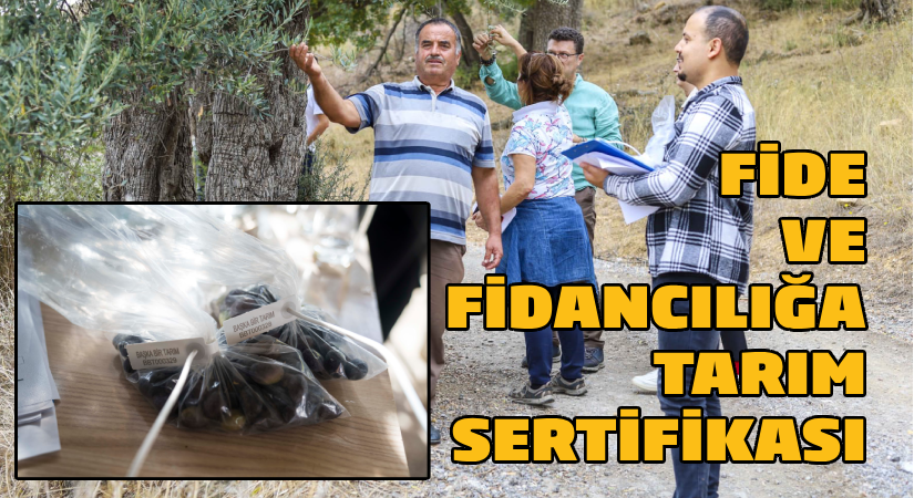 Başka Bir Tarım Sertifikası fide ve fidancılık alanında verilmeye başlandı