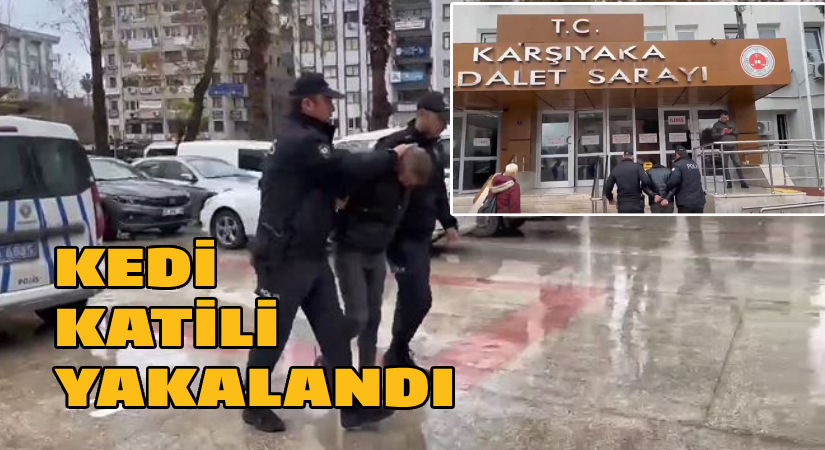 Kedi katili zanlı yakalandı