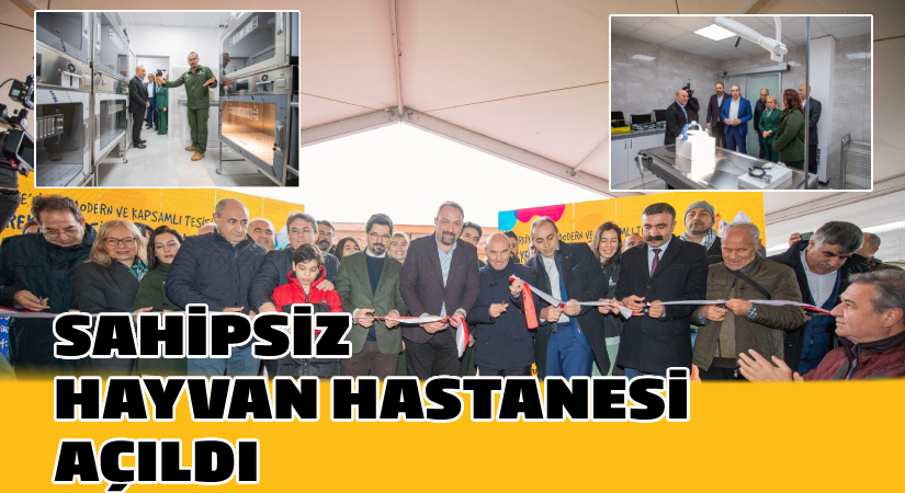 Sahipsiz Hayvan Hastanesi açıldı