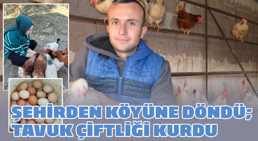 Şehirden köyüne döndü, tavuk çiftliği açtı!