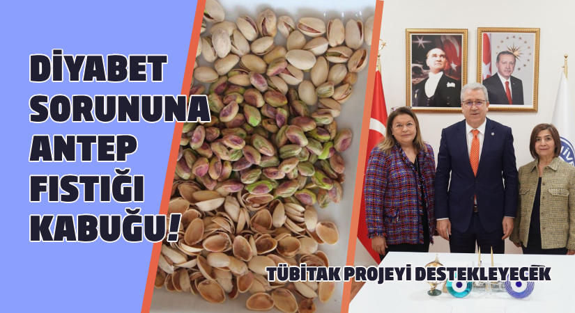 Diyabet sorununa antep fıstığı kabuğu!