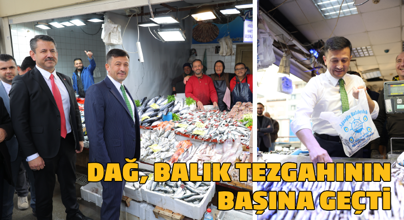 Hamza Dağ, balık tezgahının başına geçti!