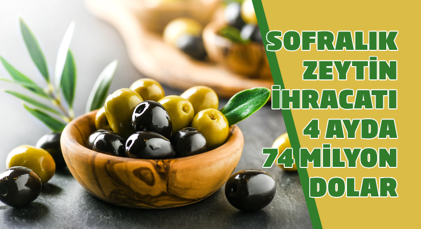 Sofralık zeytin ihracatı 4 ayda 74 milyon dolar