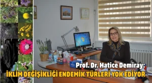 İklim değişikliği endemik türleri yok ediyor