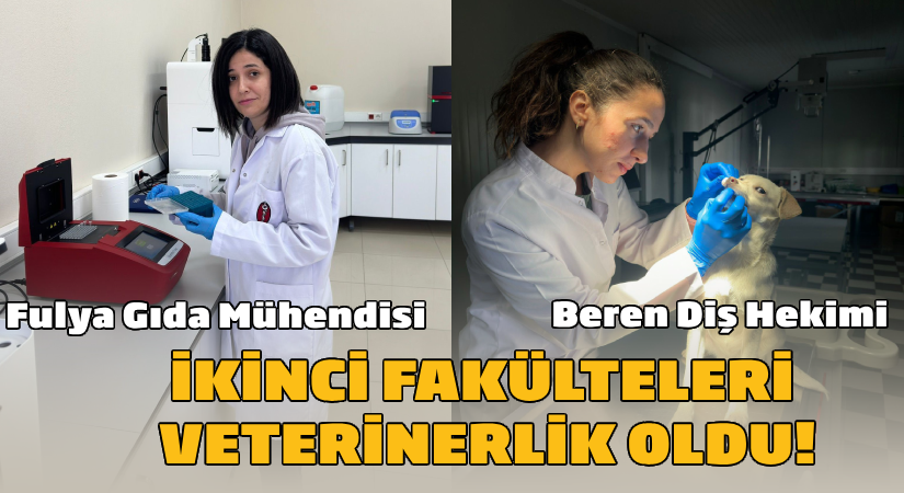 Beren Diş Hekimi, Fulya Gıda Mühendisi ama..  İkinci fakülteleri veterinerlik oldu