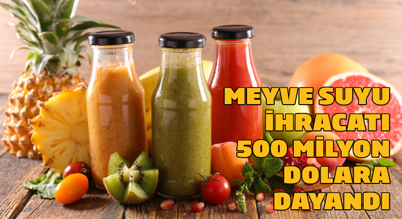 Türkiye’nin meyve suyu ihracatı 500 milyon dolara dayandı