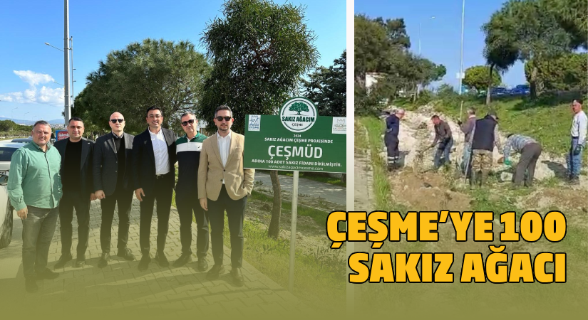 Çeşme’ye 100 adet sakız ağacı