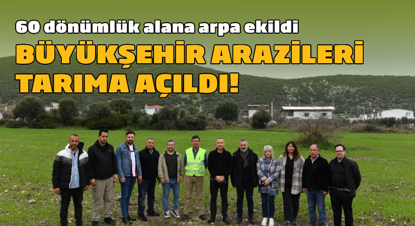 60 dönümlük alana arpa ekildi;  Büyükşehir arazileri tarıma açıldı