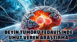 Beyin tümörü tedavisinde umut veren araştırma