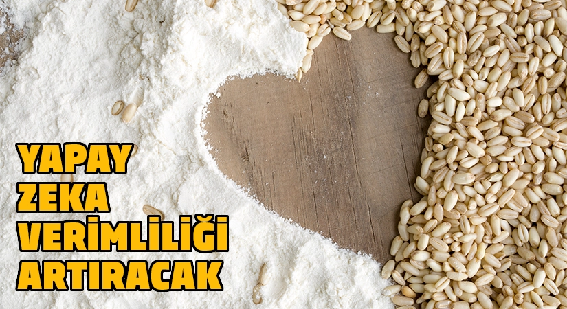 Yapay zeka ile tarım arazileri daha verimli hale gelecek