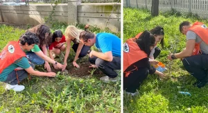 Egeli Gençler Zeytin Fidanlarını Toprakla Buluşturdu