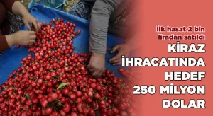 Kiraz ihracatında hedef 250 milyon dolar