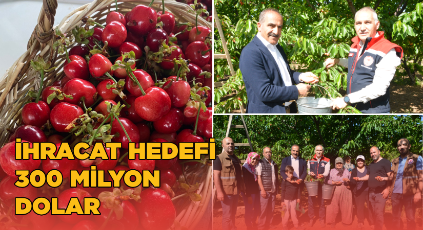 Türkiye, kiraz ihracatında 300 milyon dolar hedefliyor