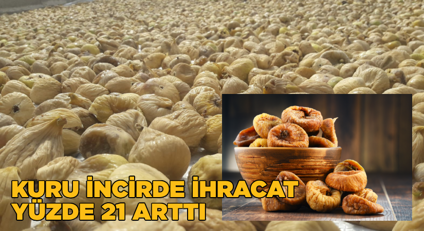 Kuru incirde sezonun ilk yarısında ihracat yüzde 21 arttı