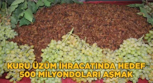 Kuru üzüm ihracatında hedef 500 milyon dolar