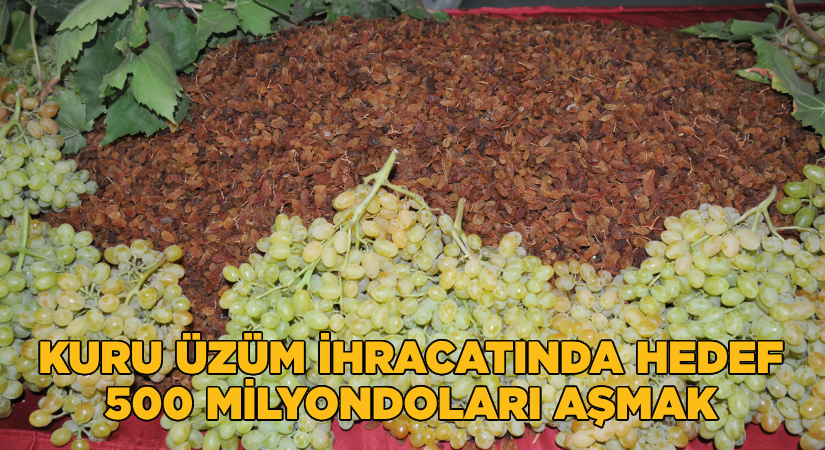 Kuru üzüm ihracatında hedef 500 milyon dolar