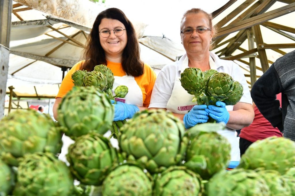Urla Uluslararası Enginar Festivali