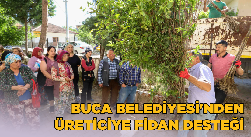 Buca Belediyesi’nden üreticiye fidan desteği