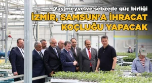 Yaş meyve ve sebzede güç birliği-İzmir, Samsun’a ihracat koçluğu yapacak