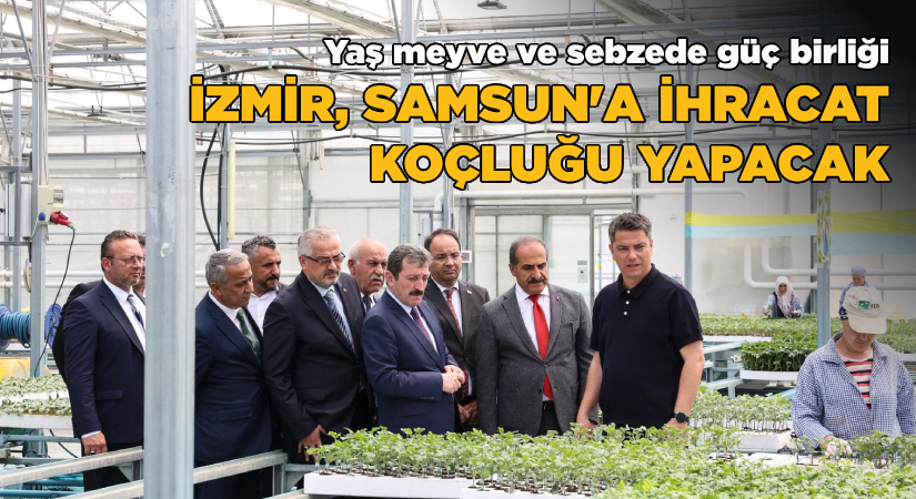 Yaş meyve ve sebzede güç birliği-İzmir, Samsun’a ihracat koçluğu yapacak