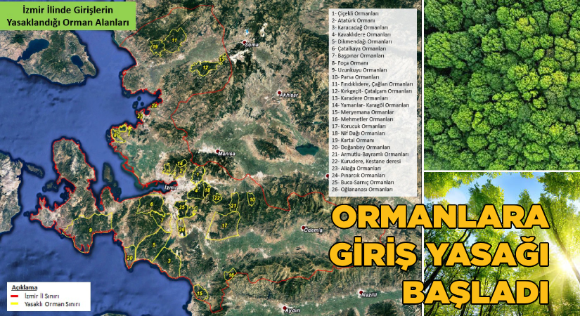 Ormanlara 1 Haziran’dan itibaren giriş yasak!