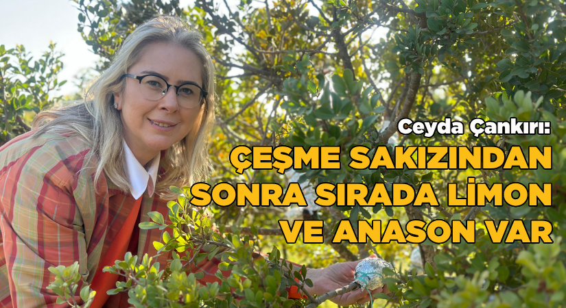 AK Partili Çankırı Açıkladı:  “Çeşme Sakızından Sonra Sırada Limon ve Anason Var”