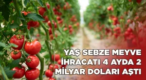Yaş meyve sebze ve mamul ihracatı 4 ayda 2 milyar doları aştı
