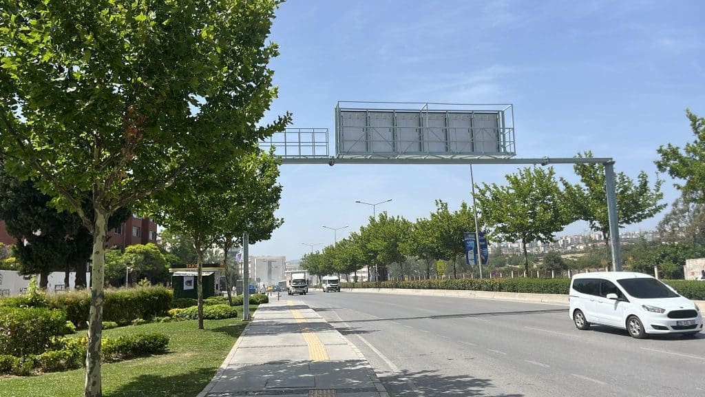 Ağaçlar taşınarak koruma altına alınacak
