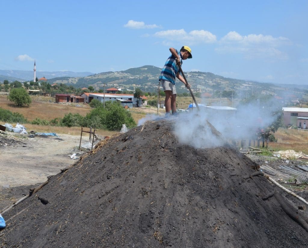 Kurt ailesinin geliri mangal kömüründen