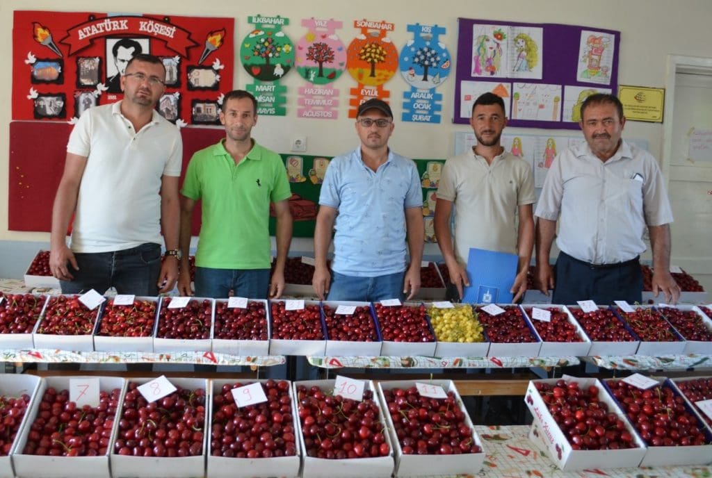 Gördes Börez Kiraz Festivali’nde coşku
