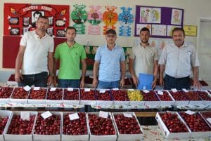 Gördes Börez Kiraz Festivali’nde coşku