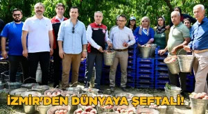 İzmir’den Dünyaya Şeftali