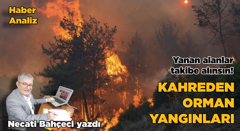 Kahreden orman yangınları