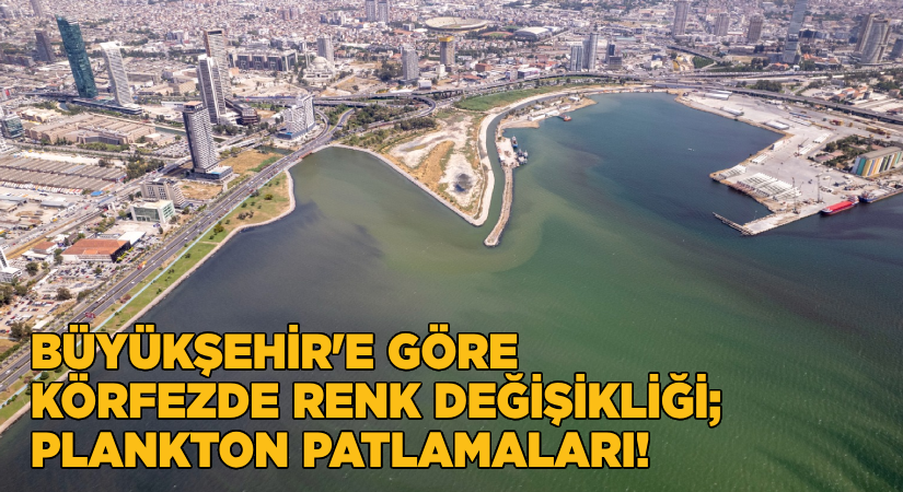 Körfezde renk değişikliği, Büyükşehir’e göre plankton patlaması