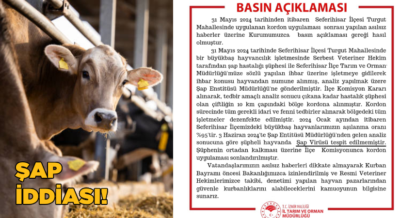 Şap iddiası doğru çıkmadı