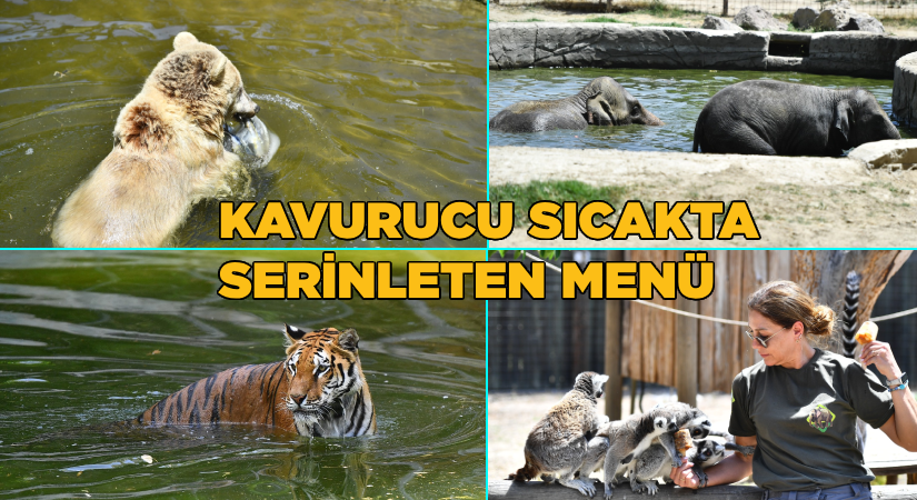 Doğal Yaşam Parkı sakinlerini serinleten menü