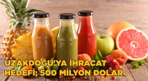 Uzakdoğu’ya meyve-sebze ihracatında hedef; 500 milyon dolar