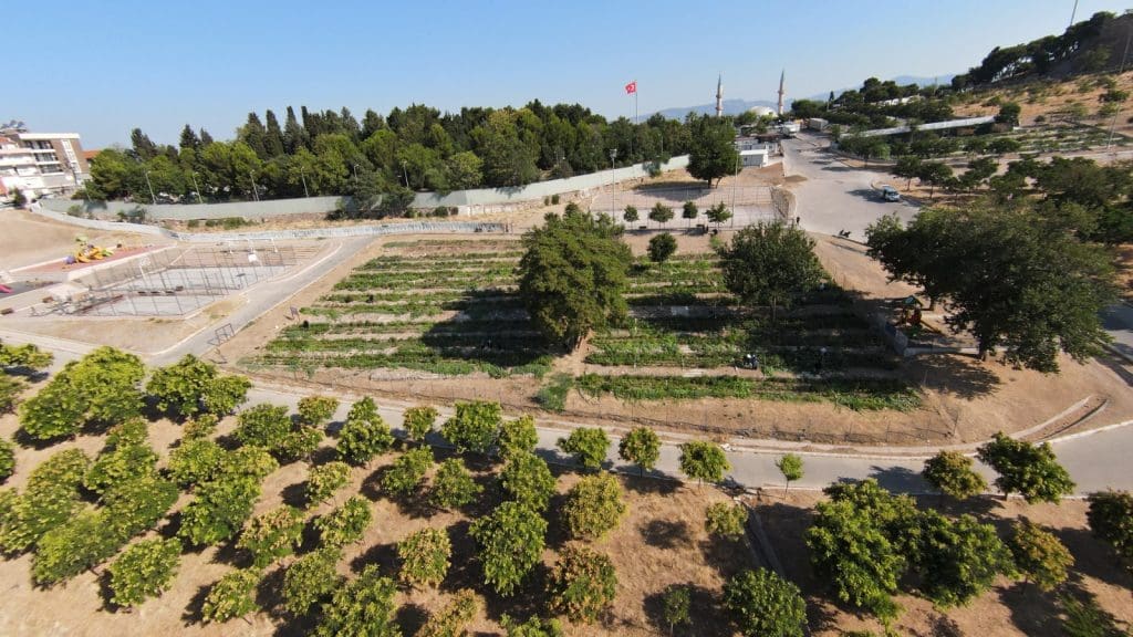 Mahalle bostanında hasat zamanı