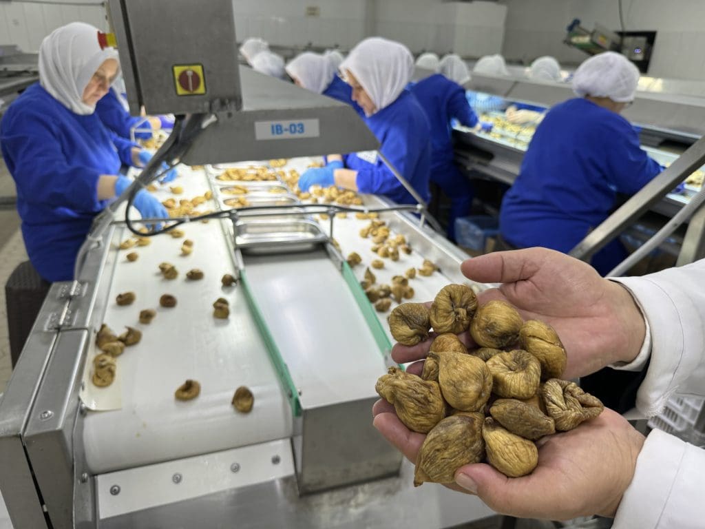 6 aylık kuru meyve ihracatı 829 milyon dolara yükseldi