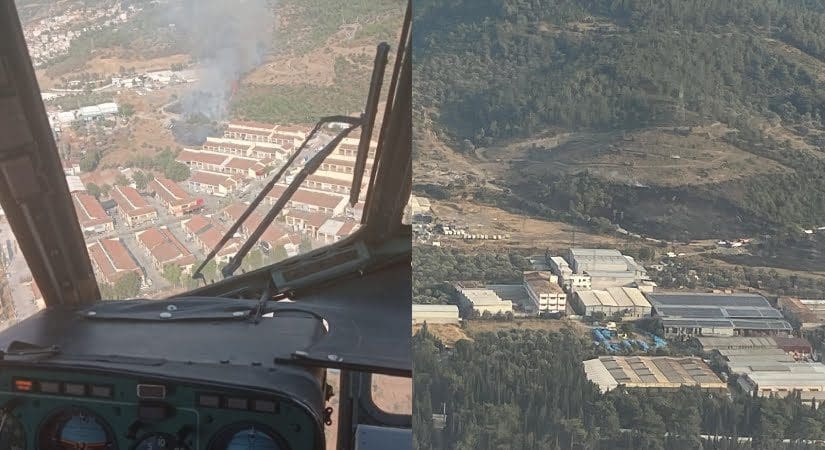 Bornova’da orman yangını