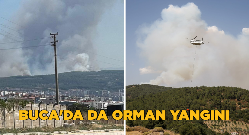 Buca’da da orman yangını