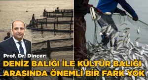 Prof. Dr. Dinçer, “Deniz balığı ile kültür balığı arasında bir fark yok”