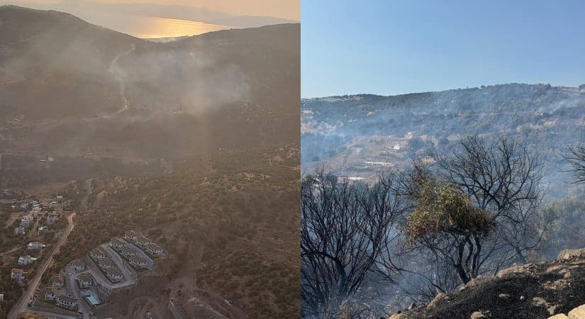 Dikili’de orman yangını kontrol altına alındı